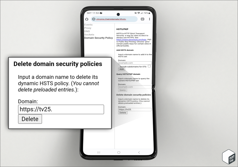 HSTS/PKP 접속 및 'Delete domain security policies'